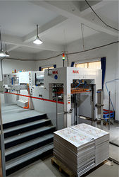 Ningbo Bokesi Culture Technology Co., Ltd.